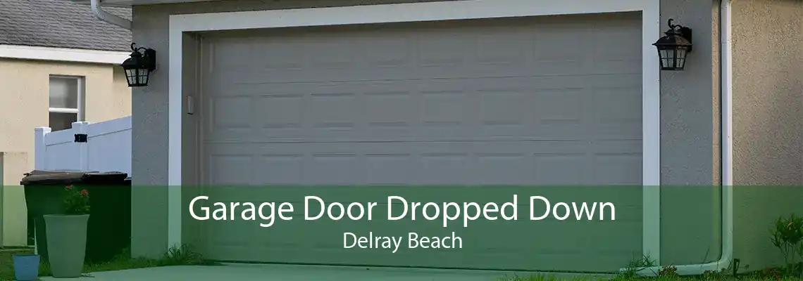Garage Door Dropped Down Delray Beach